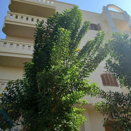 Elsanosy Family Guest House - Louxor Extérieur photo