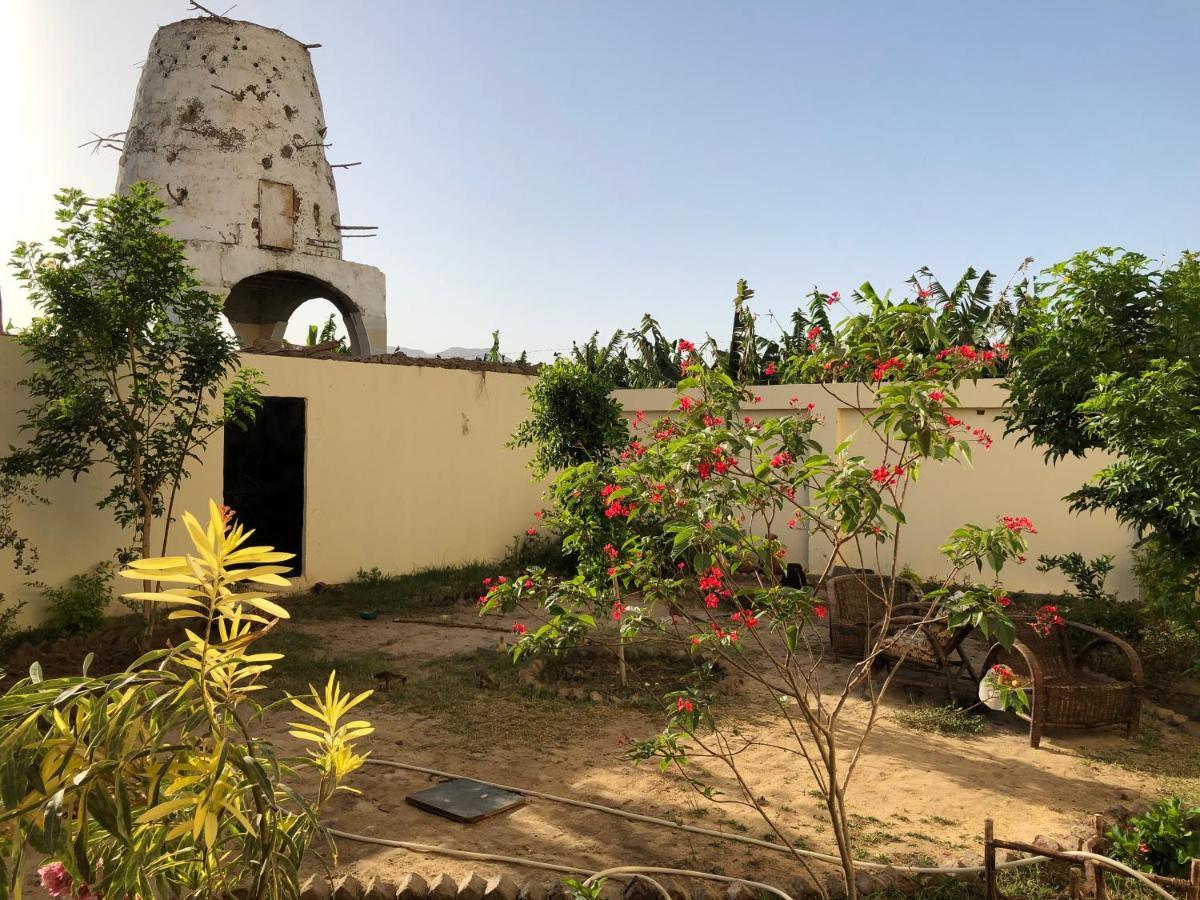 Elsanosy Family Guest House - Louxor Extérieur photo