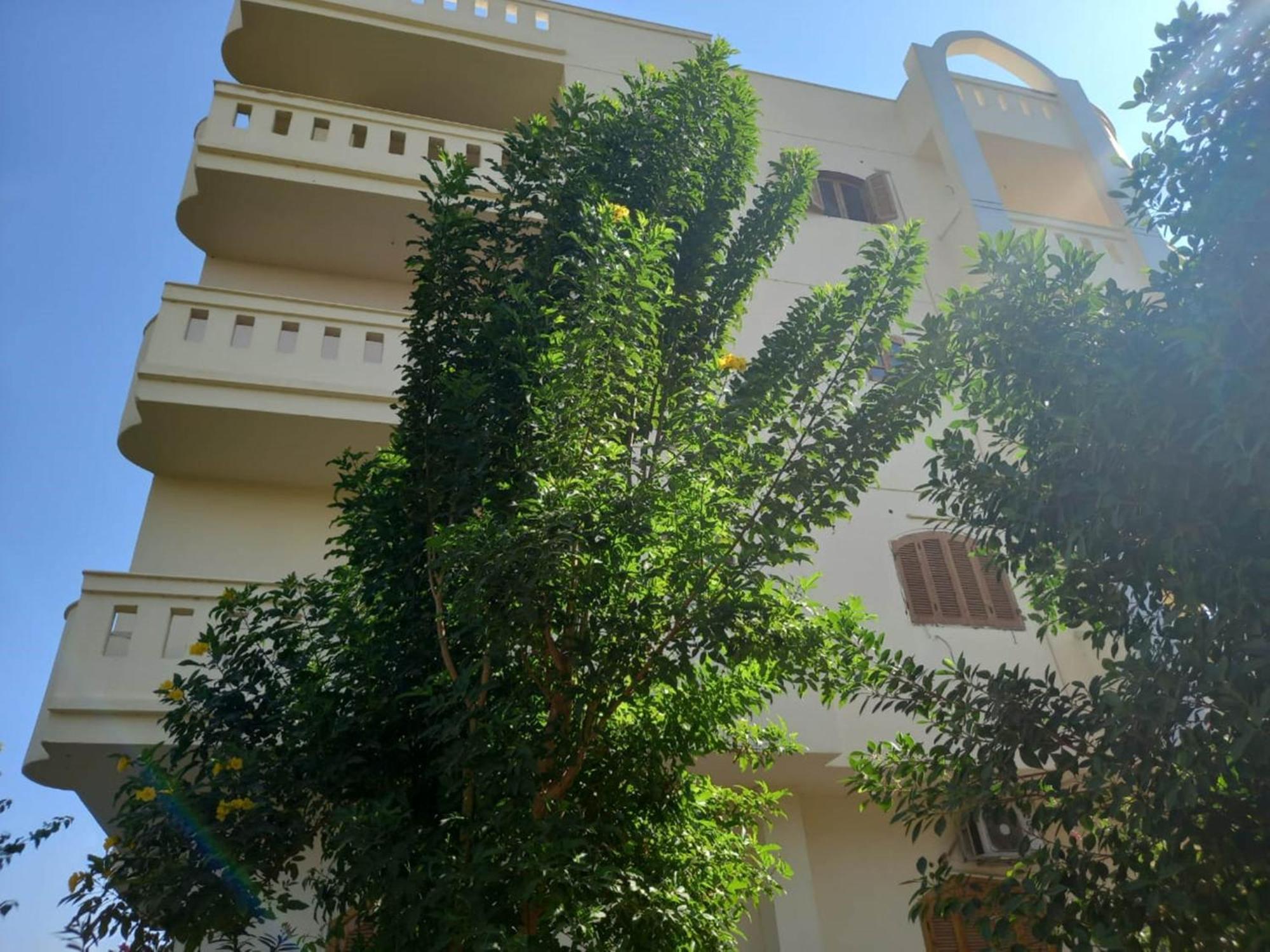 Elsanosy Family Guest House - Louxor Extérieur photo