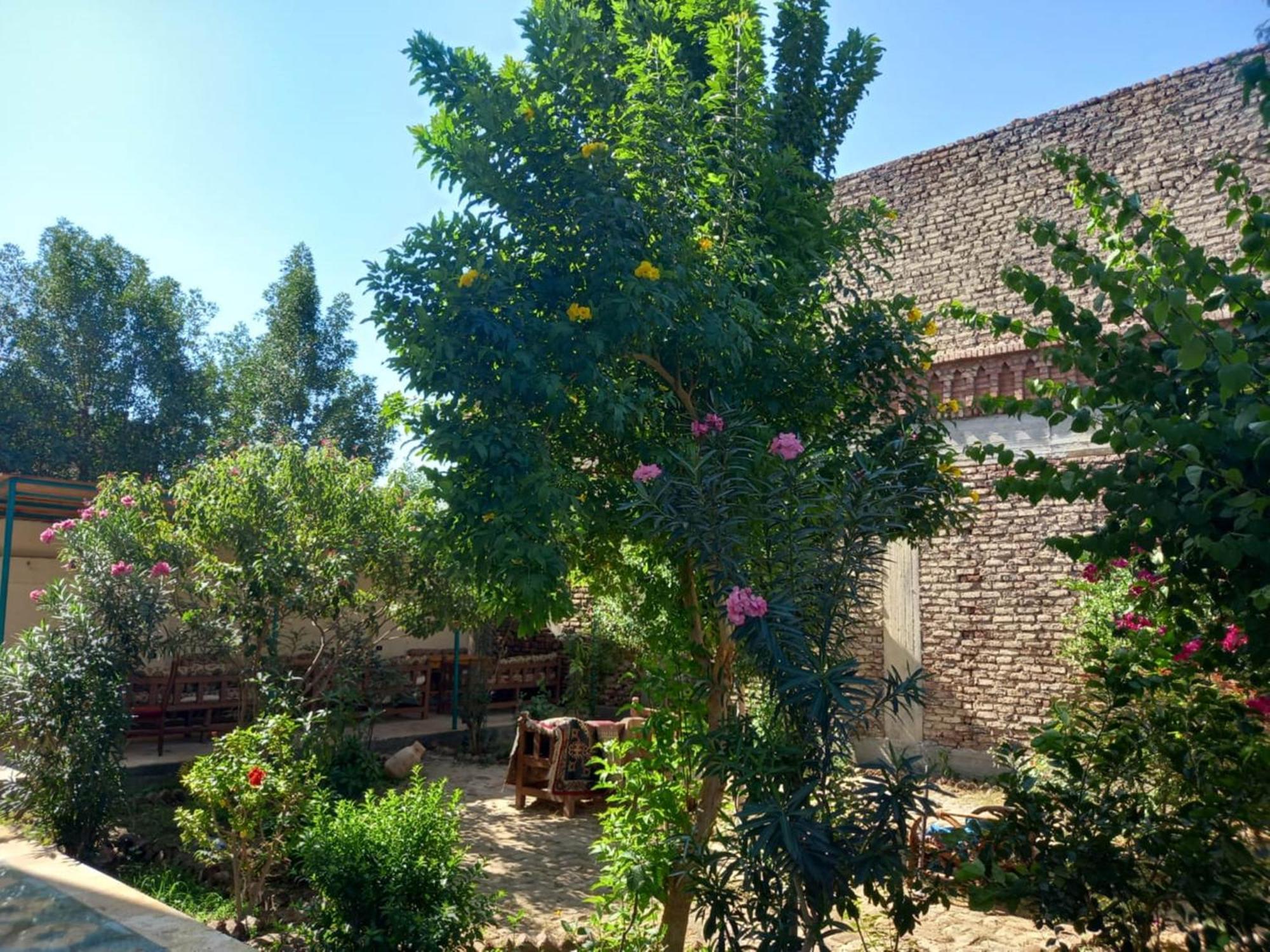Elsanosy Family Guest House - Louxor Extérieur photo